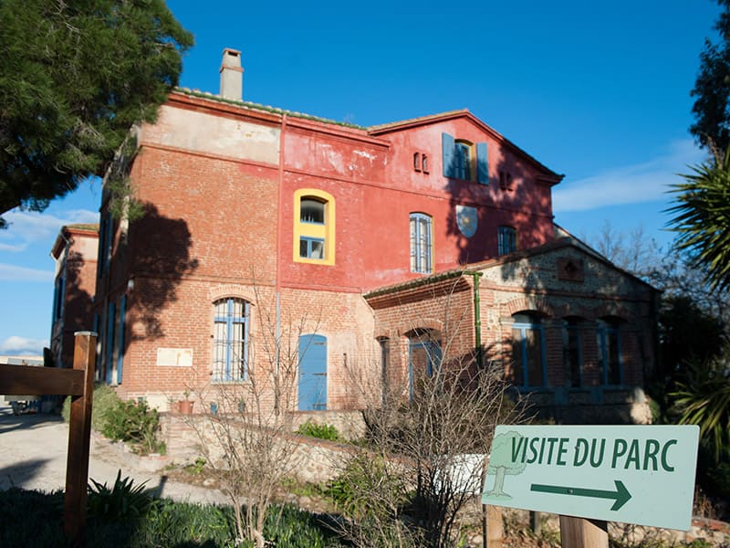 L'Arboretum de Canet Explorez un endroit unique et précieux où les arbres de collection et les végétaux