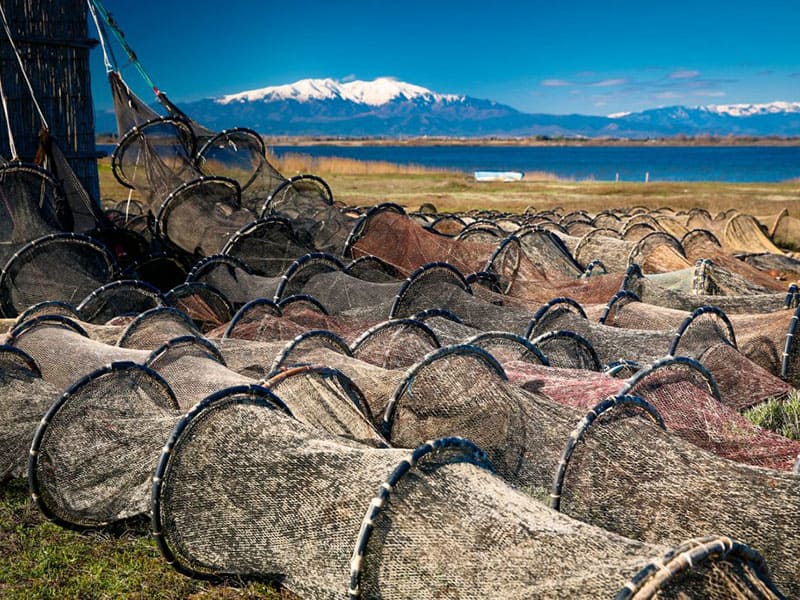 Les étangs de Canet-St Nazaire Les étangs de Canet-St Nazaire avec le Canigou en fond
