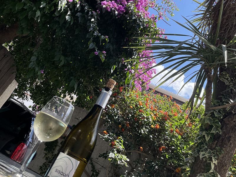 un verre de vin blanc sur la terrasse-patio de la maison de parrain un verre de vin blanc sur la terrasse-patio de la maison de parrain