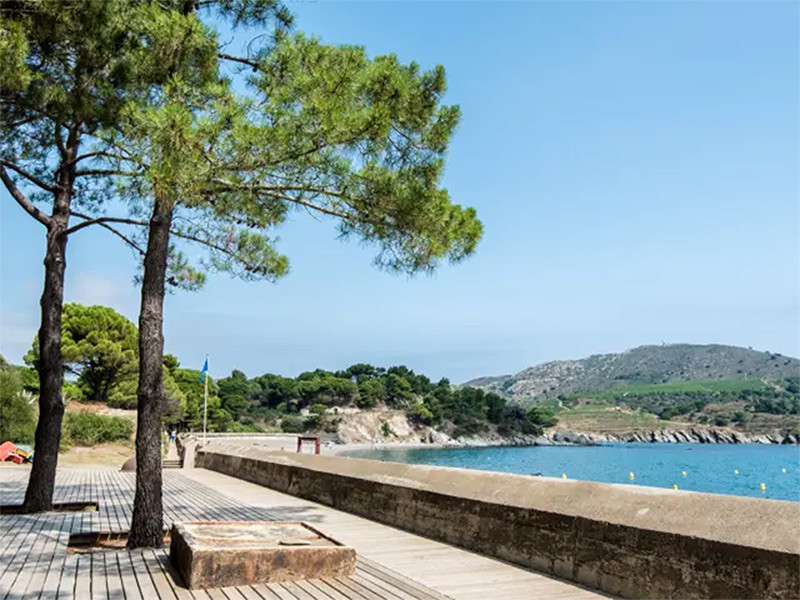 Promenade en bord de mer à la plage de Paulilles avec les pins méditerranéens, les criques et les collines de la Côte Vermeille dans les Pyrénées-Orientales.