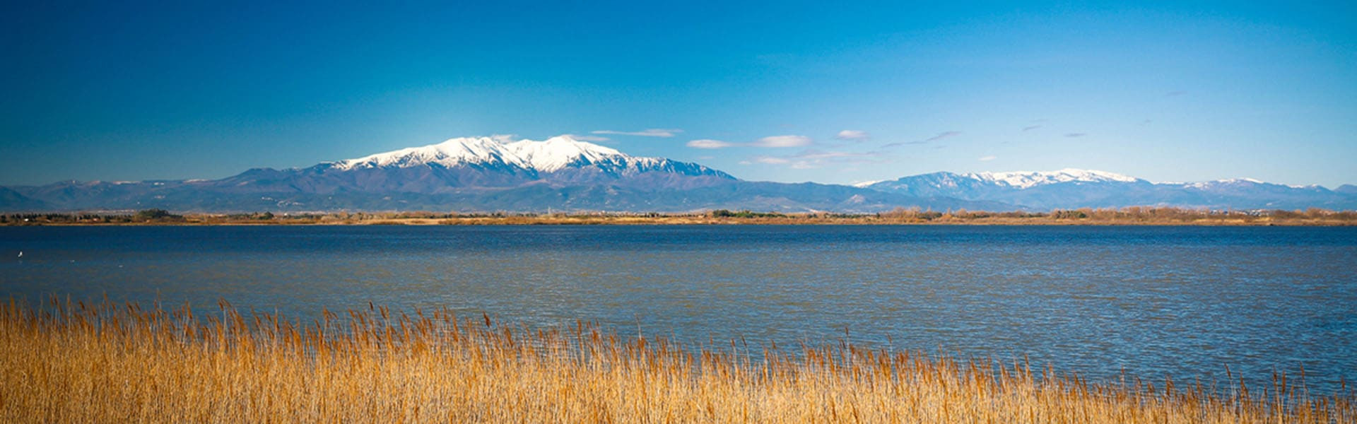 etangs-canet-en-roussillon-canigou-vacances-maison-de-parrain