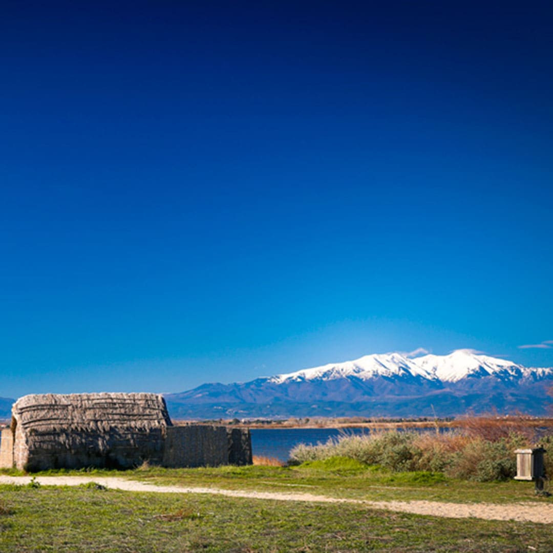 cabane-Pecheur-Etang-Canigou-canet-maison-de-parrain